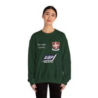 Louth 'AIBP Meats' Sweater