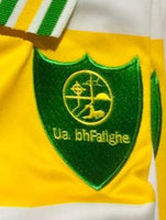 Offaly 1982 All Ireland winning change shirt