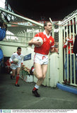 Cork 1990 Double - winning jersey